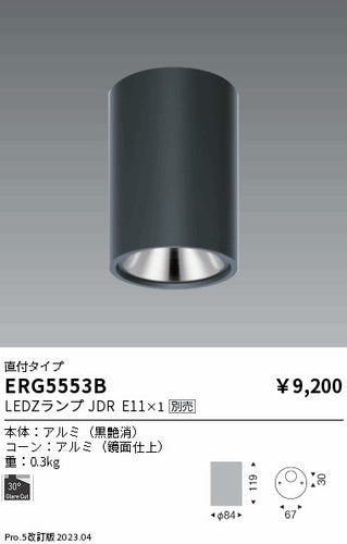 遠藤照明（ENDO）シーリングライト ERG5553B