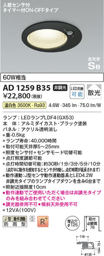 コイズミ（KOIZUMI）屋外灯 AD1259B35