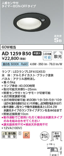 コイズミ（KOIZUMI）屋外灯 AD1259B50