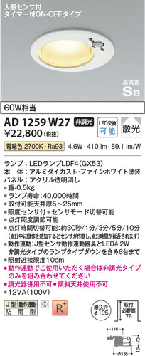 コイズミ（KOIZUMI）屋外灯 AD1259W27