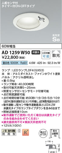 コイズミ（KOIZUMI）屋外灯 AD1259W50