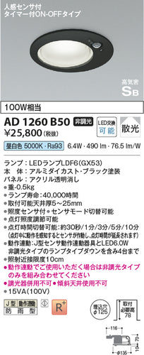 コイズミ（KOIZUMI）屋外灯 AD1260B50