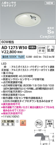 コイズミ（KOIZUMI）屋外灯 AD1275W50