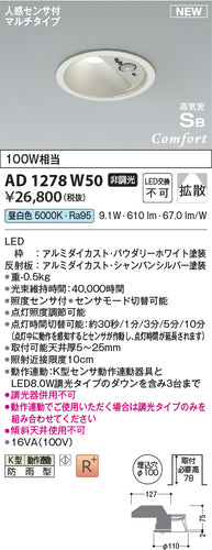 コイズミ（KOIZUMI）屋外灯 AD1278W50