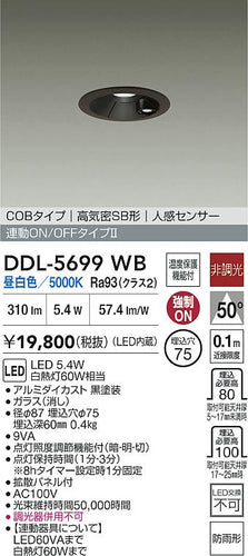 ダイコー（DAIKO）屋外灯 DDL-5699WB