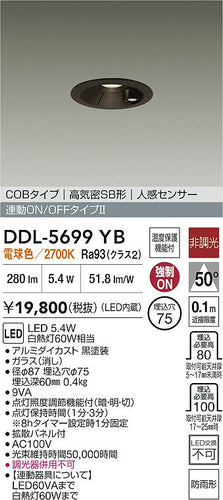 ダイコー（DAIKO）屋外灯 DDL-5699YB