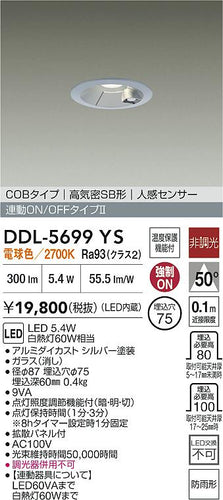 ダイコー（DAIKO）屋外灯 DDL-5699YS