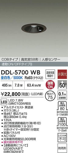 ダイコー（DAIKO）屋外灯 DDL-5700WB