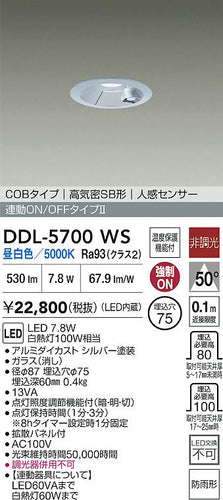 ダイコー（DAIKO）屋外灯 DDL-5700WS