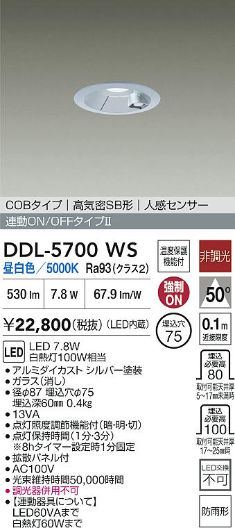 ダイコー（DAIKO）屋外灯 DDL-5700WS