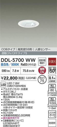 ダイコー（DAIKO）屋外灯 DDL-5700WW