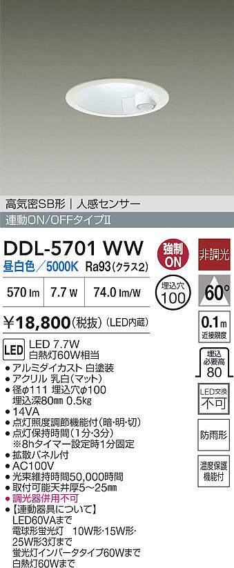 ダイコー（DAIKO）屋外灯 DDL-5701WW