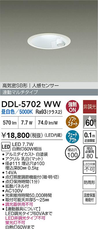 ダイコー（DAIKO）屋外灯 DDL-5702WW