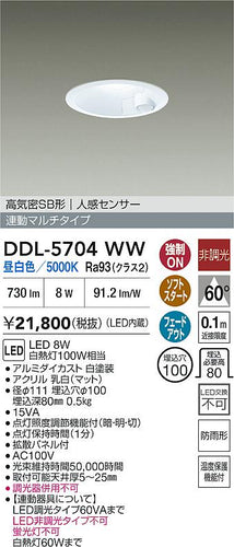 ダイコー（DAIKO）屋外灯 DDL-5704WW