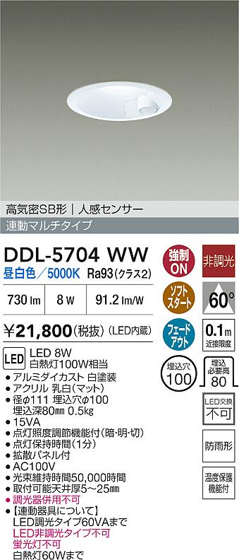 ダイコー（DAIKO）屋外灯 DDL-5704WW