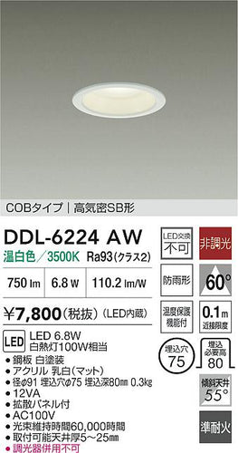 ダイコー（DAIKO）屋外灯 DDL-6224AW