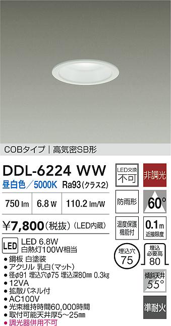 ダイコー（DAIKO）屋外灯 DDL-6224WW