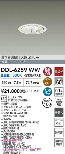 ダイコー（DAIKO）屋外灯 DDL-6259WW