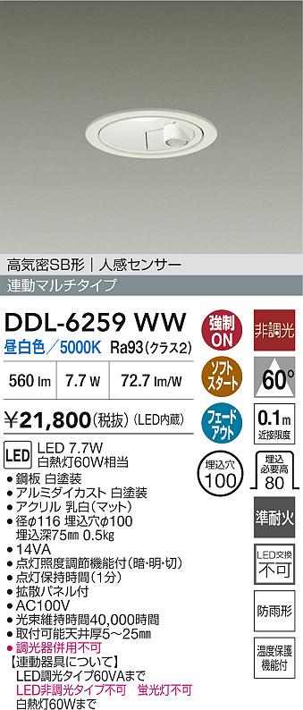 ダイコー（DAIKO）屋外灯 DDL-6259WW