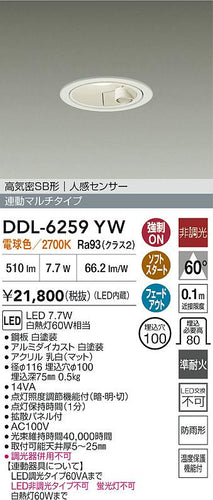 ダイコー（DAIKO）屋外灯 DDL-6259YW