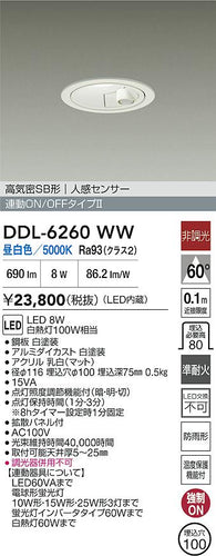 ダイコー（DAIKO）屋外灯 DDL-6260WW