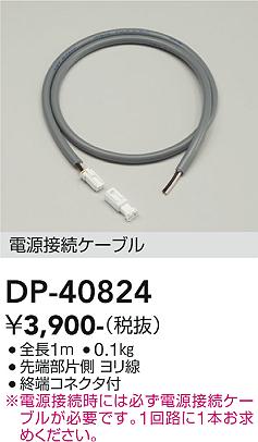 ダイコー（DAIKO）屋外灯 DP-40824