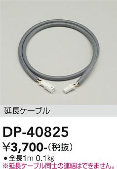 ダイコー（DAIKO）屋外灯 DP-40825