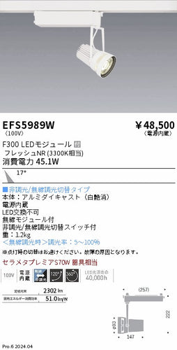 遠藤照明（ENDO）スポットライト EFS5989W