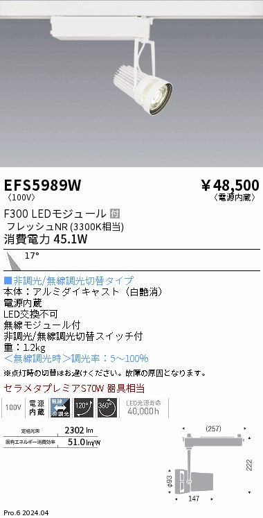 遠藤照明（ENDO）スポットライト EFS5989W