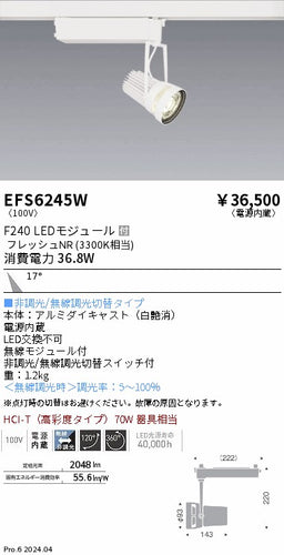 遠藤照明（ENDO）スポットライト EFS6245W