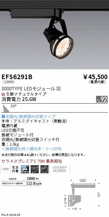 遠藤照明（ENDO）スポットライト EFS6291B