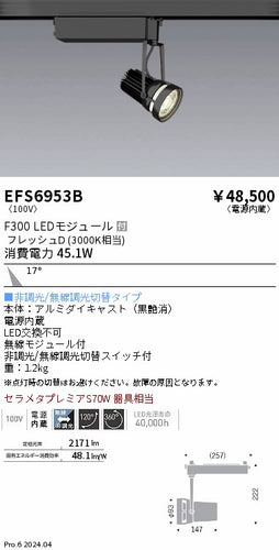 遠藤照明（ENDO）スポットライト EFS6953B