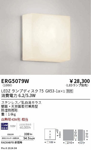 遠藤照明（ENDO）ポーチライト ERG5079W