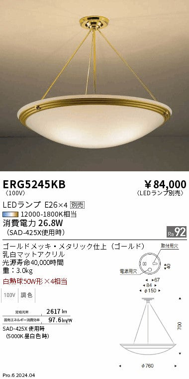 遠藤照明（ENDO）シーリングライト ERG5245KB