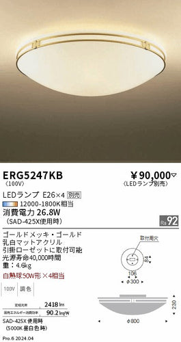 遠藤照明（ENDO）シーリングライト ERG5247KB