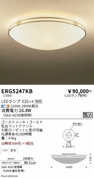 遠藤照明（ENDO）シーリングライト ERG5247KB