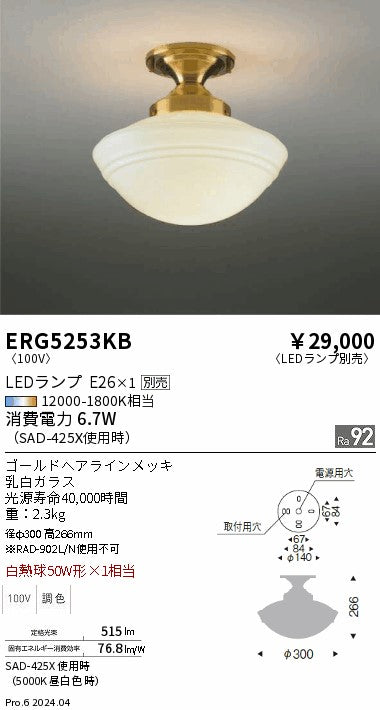 遠藤照明（ENDO）シーリングライト ERG5253KB