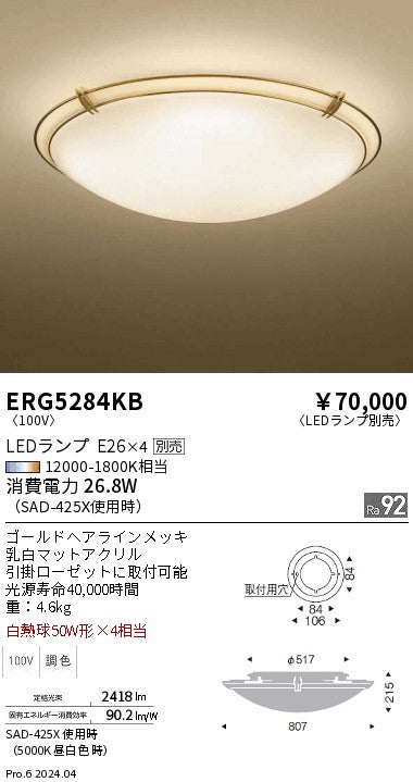 遠藤照明（ENDO）シーリングライト ERG5284KB