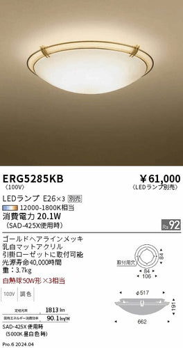遠藤照明（ENDO）シーリングライト ERG5285KB