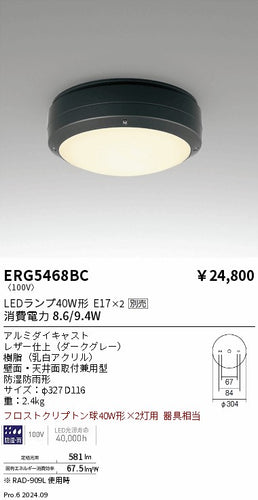遠藤照明（ENDO）ポーチライト ERG5468BC