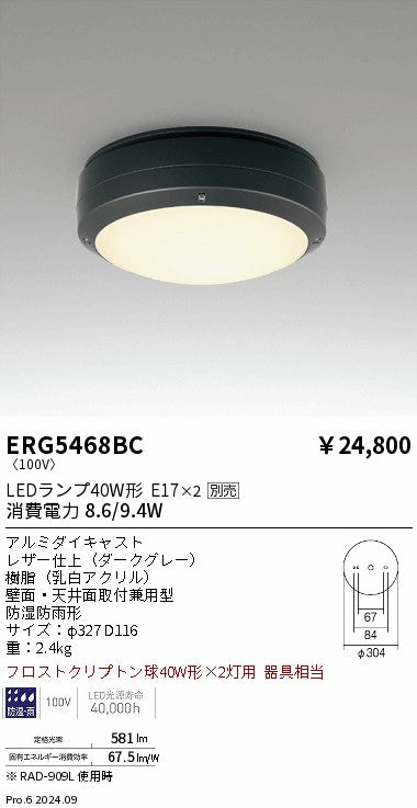 遠藤照明（ENDO）ポーチライト ERG5468BC