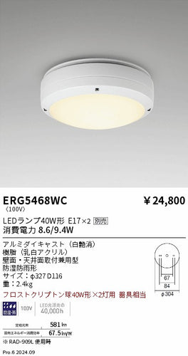 遠藤照明（ENDO）ポーチライト ERG5468WC