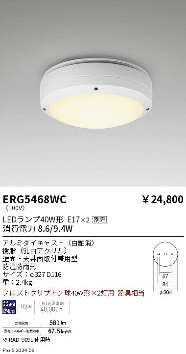 遠藤照明（ENDO）ポーチライト ERG5468WC