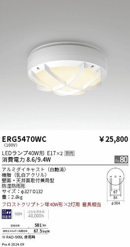 遠藤照明（ENDO）ポーチライト ERG5470WC