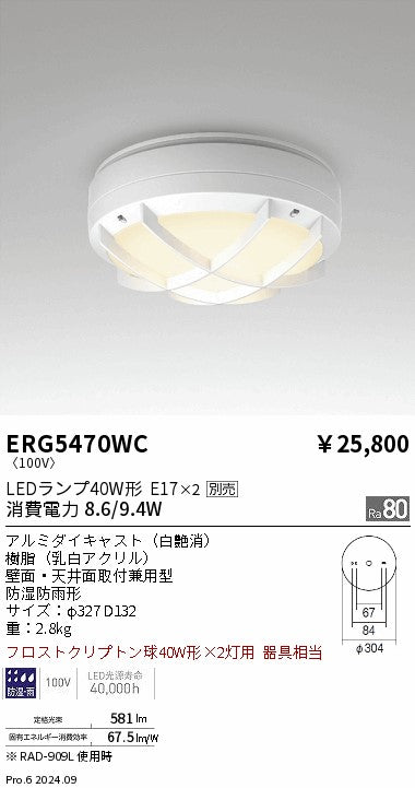 遠藤照明（ENDO）ポーチライト ERG5470WC