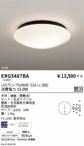 遠藤照明（ENDO）屋外灯 ERG5487BA
