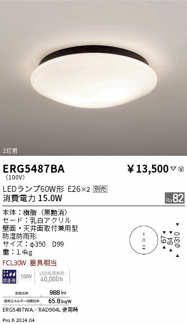 遠藤照明（ENDO）屋外灯 ERG5487BA