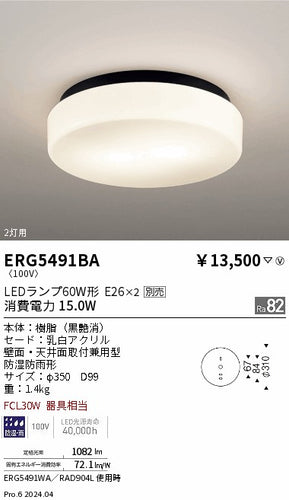遠藤照明（ENDO）屋外灯 ERG5491BA