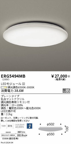 遠藤照明（ENDO）シーリングライト ERG5494MB