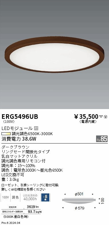 遠藤照明（ENDO）シーリングライト ERG5496UB